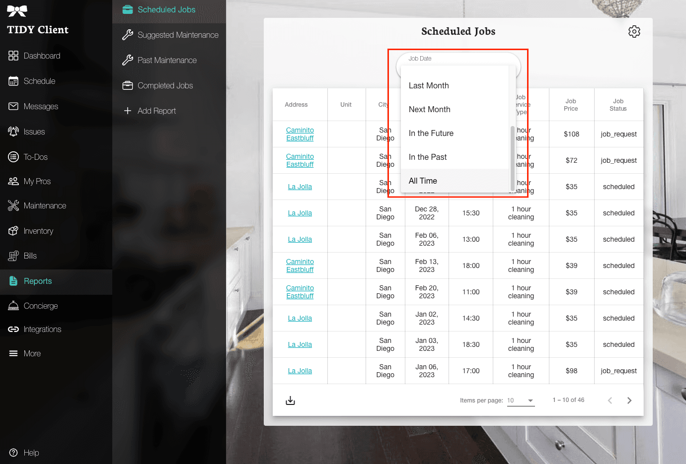 Report Data View