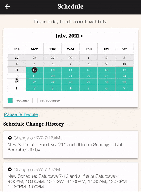 Setting schedule demo