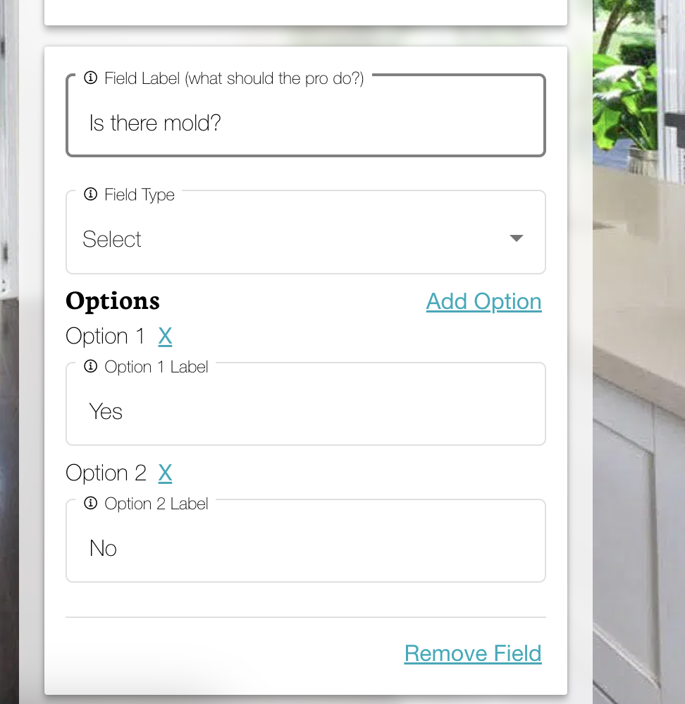 Custom field types